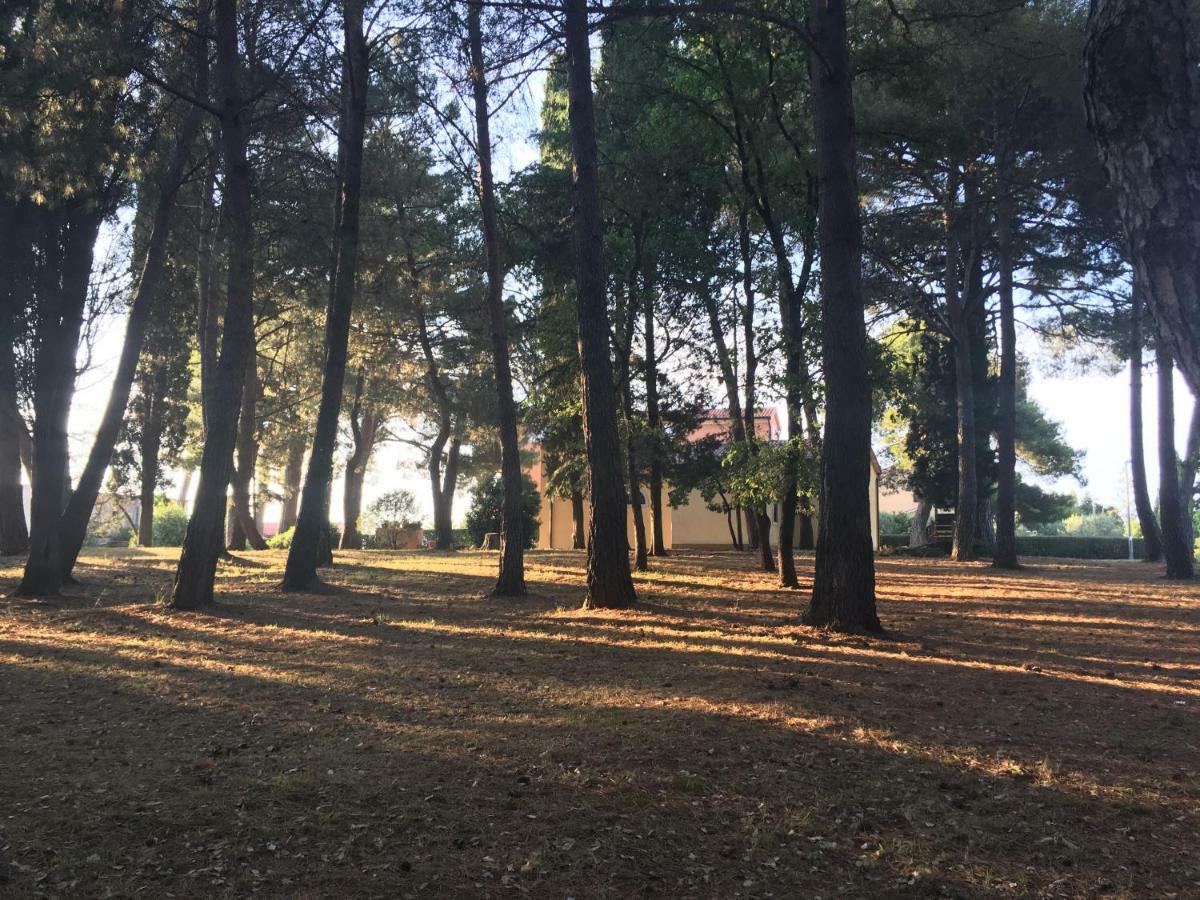 Pribetic Apartments Porec Luaran gambar